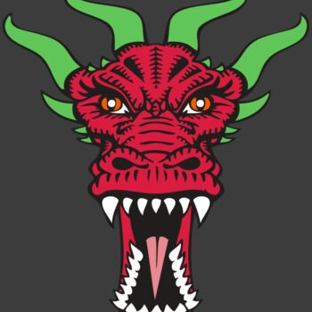 BAW DRAGON 09 RC Thumbnail