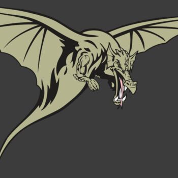 BAW DRAGON 12 RC Thumbnail