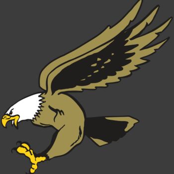 AR EAGLE 23 RC Thumbnail