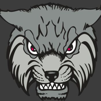 BAW BOBCAT 02 RC Thumbnail