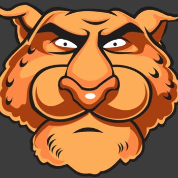 CHEETAH HD0501 RQC Thumbnail