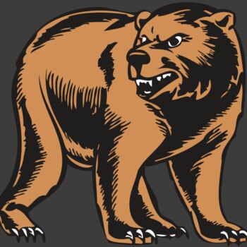 BAW BEAR 09 RC Thumbnail