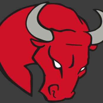 AR BULL 24 RC Thumbnail