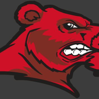 AR BEAR 55 RC Thumbnail
