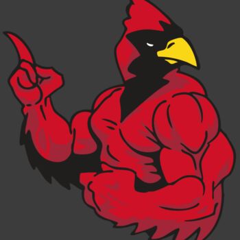 AR CARDINAL 28 RC Thumbnail