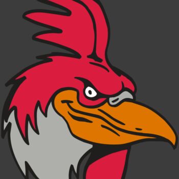 AR5 Gamecock 05 RQC Thumbnail