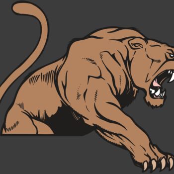 AR COUGAR 55 RC Thumbnail