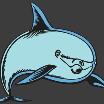 BAW DOLPHIN 04 RC Thumbnail