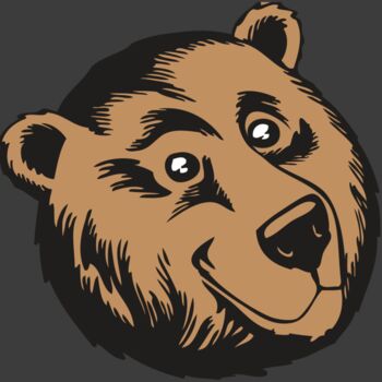 BAW BEAR 11 RC Thumbnail