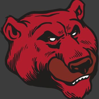 AR BEAR 10 RC Thumbnail