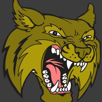 AR5 BOBCAT 20 RQC Thumbnail