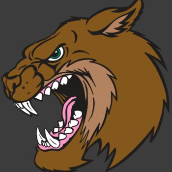 AR5 BOBCAT 18 RQC Thumbnail