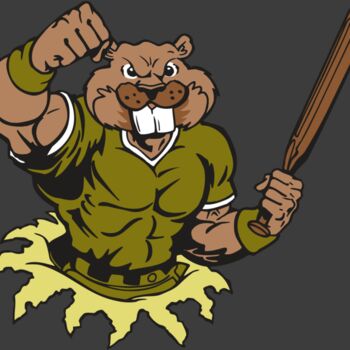 AR4 BEAVER 02 RQC Thumbnail