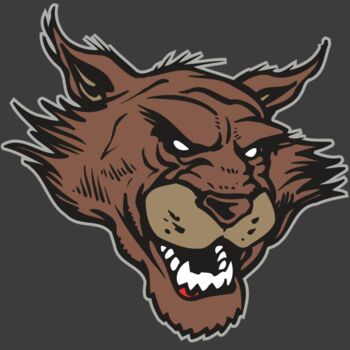 AR WILDCAT 11 RC Thumbnail