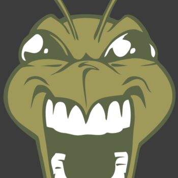 BAW BEE 13 RC Thumbnail