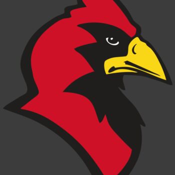 AR CARDINAL 20 RC Thumbnail