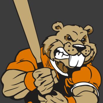 AR4 BEAVER 04 RQC Thumbnail