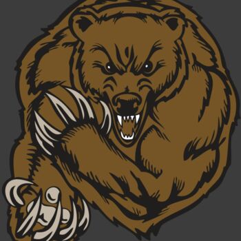 BAW BEAR 07 RC Thumbnail