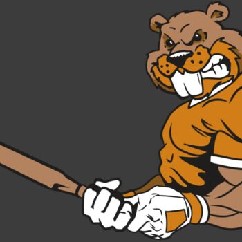 AR4 BEAVER 05 RQC Thumbnail