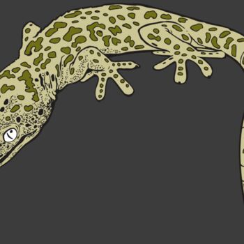 AR GEKO 19 RC Thumbnail