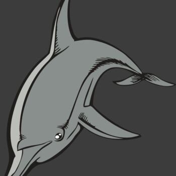 BAW DOLPHIN 03 RC Thumbnail