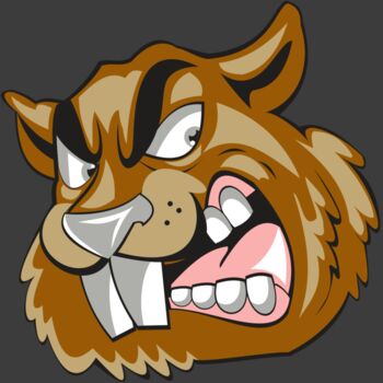 BEAVER HD0504 RQC Thumbnail