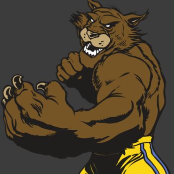 AR WILDCAT 48 RC Thumbnail