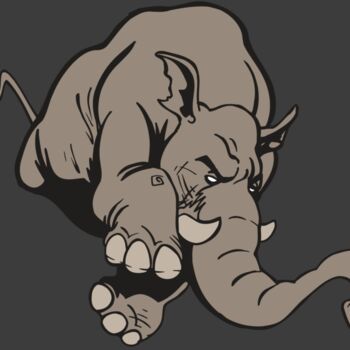 AR5 Elephant 17 RQC Thumbnail