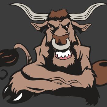 AR5 BULL 17 RQC Thumbnail
