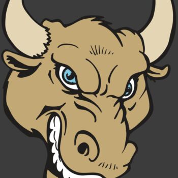 AR5 BULL 13 RQC Thumbnail