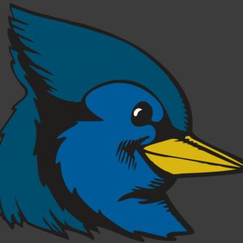 BAW BLUEJAY 07 RC Thumbnail