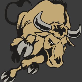 AR BULL 51 RC Thumbnail