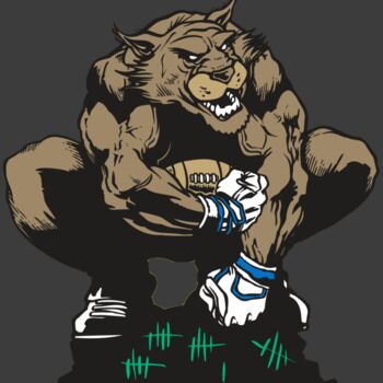 AR WILDCAT 34 RC Thumbnail