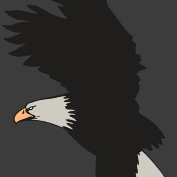 AR EAGLE 91 RC Thumbnail