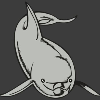 BAW DOLPHIN 02 RC Thumbnail