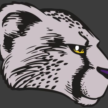 BAW CHEETAH 20 RC Thumbnail