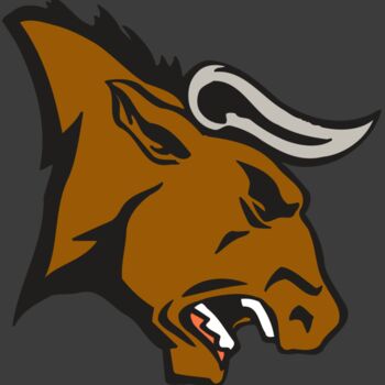 AR BULL 38 RC Thumbnail