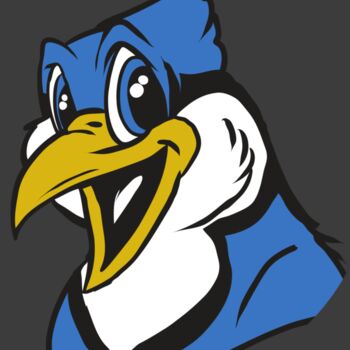 AR31 BLUEJAY 01 RQC Thumbnail