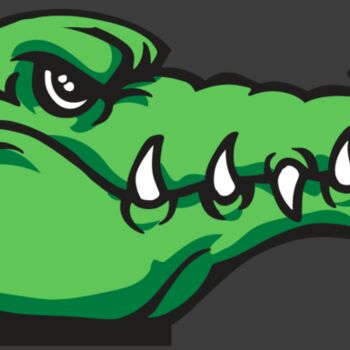 AR GATOR 15 RQC Thumbnail