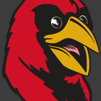 BAW CARDINAL 05 RC Thumbnail