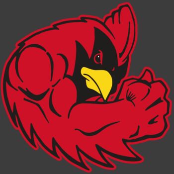 AR CARDINAL 29 RC Thumbnail