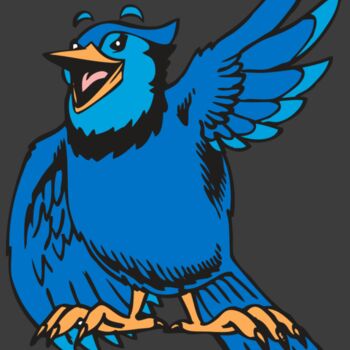BAW BLUEJAY 06 RC Thumbnail