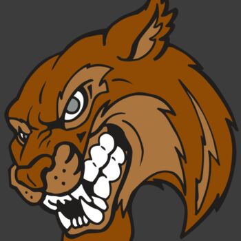 AR5 BOBCAT 07 RQC Thumbnail