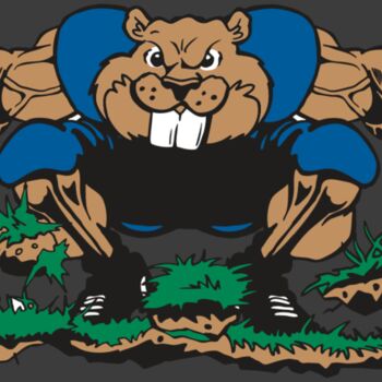 AR14 BEAVER FBLL 04 RQC Thumbnail