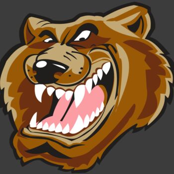 BEAR HD0503 RQC Thumbnail