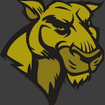 AR5 COUGAR 18 RQC Thumbnail