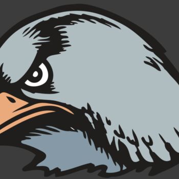 BAW HWK FLCN 03 RC Thumbnail