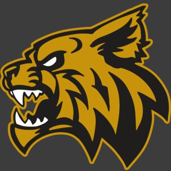 AR WILDCAT 16 RC Thumbnail