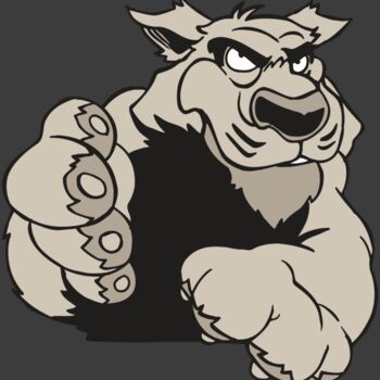 AR5 COUGAR 21 RQC Thumbnail