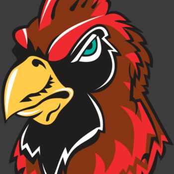 CARDINAL HD0501 RQC Thumbnail